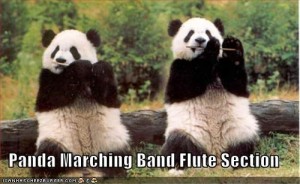 band-memes-panda
